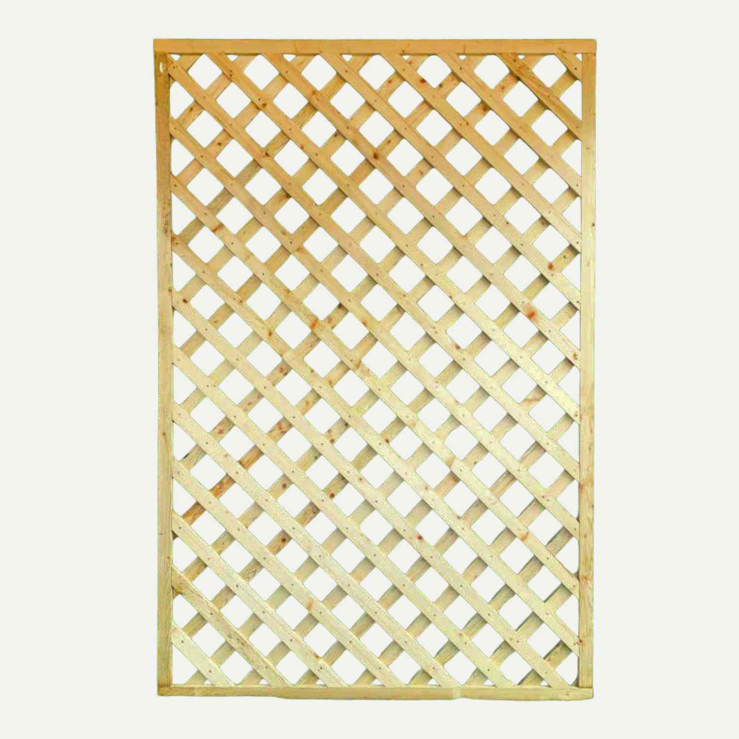 Bingley Fencing Diamond Trellis