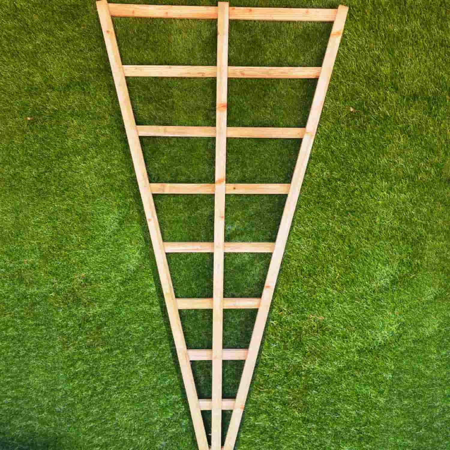 Fan Trellis - 6ft Tall - Image 2