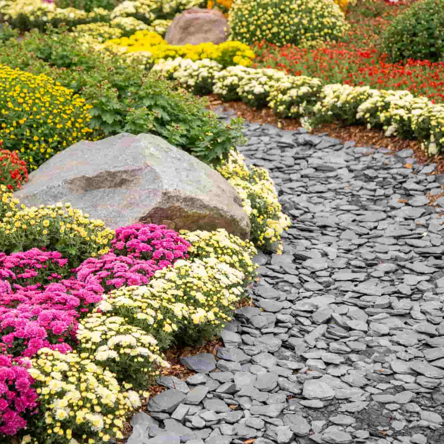 Plum Slate - 40mm Pieces - 20kg - Image 3